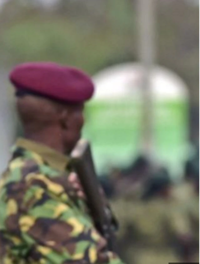 A soldier stands guard