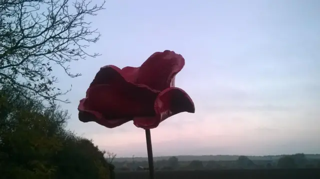 Poppy