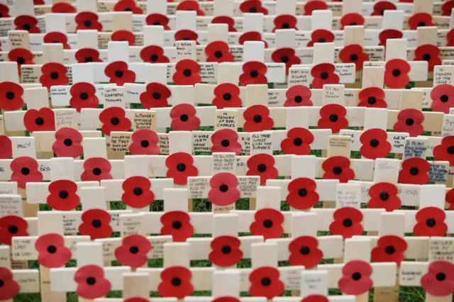 Poppies