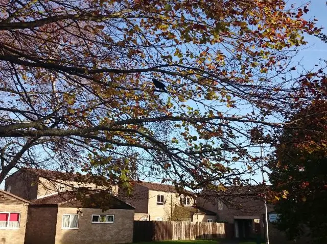 Autumnal sunshine in Corby