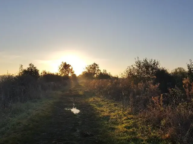 A sunny morning in a field Irthlingborough.