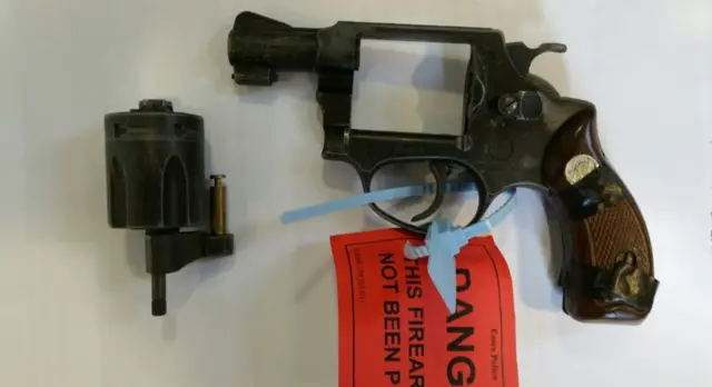 Gun