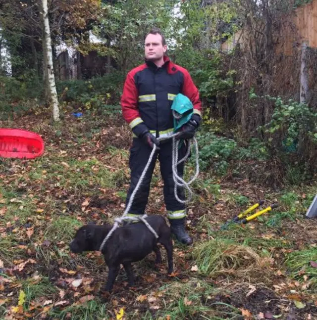 Firefighter has dog on lead