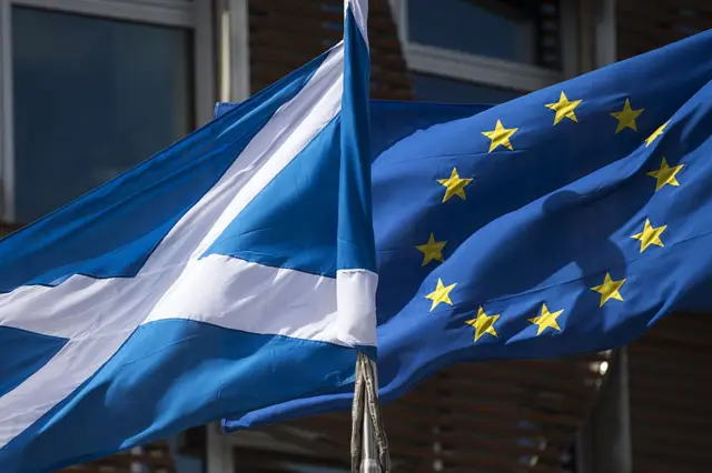 Scottish and EU flags