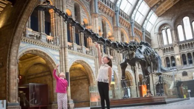 Dippy is actually a copy of an American dinosaur specimen and was unveiled in London in 1905