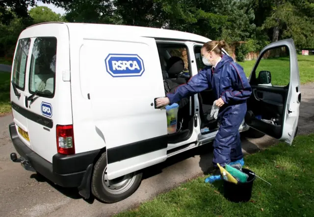 RSPCA van