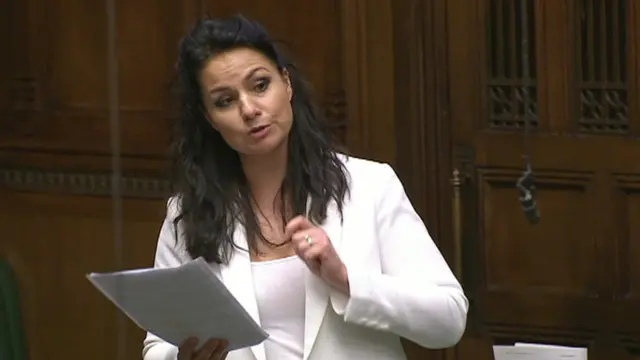 Heidi Allen