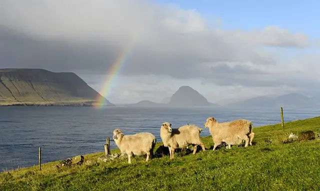 The Faroes - literally Sheep Islands - are barren and often spectacular