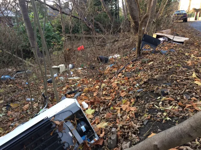 Fly-tipping in Firth Park