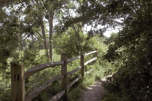 A country path