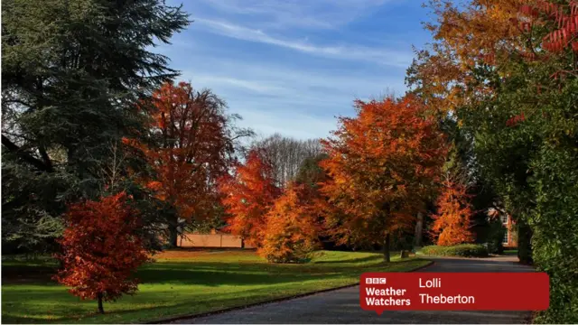 Autumn colours in Theberton