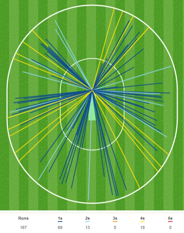 Virat Kohli wagon wheel