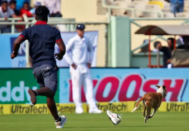 The dog on the pitch on Day One