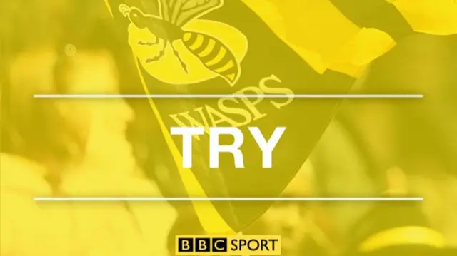 Wasps try