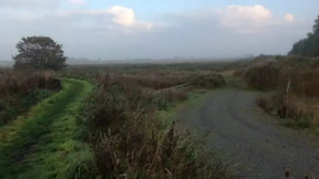 Part of Carlton marshes