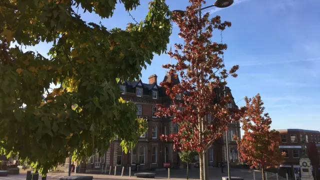 Trees in Hanley