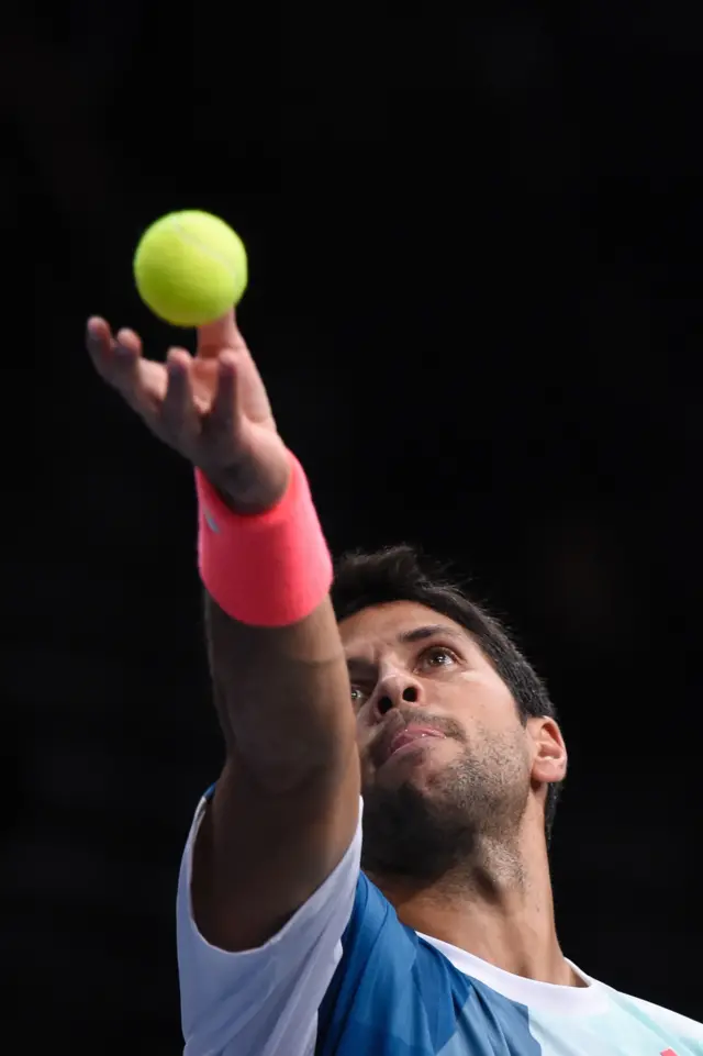 Fernando Verdasco serves