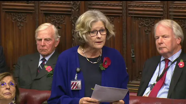 Baroness Hollins