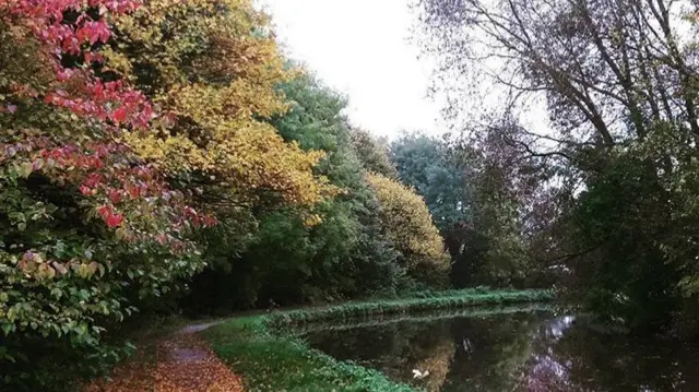 Caldon Canal near Lime Kiln Bank during a dog walk