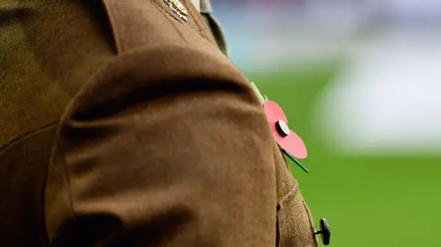 A poppy is seen on the chest of a soldier ahead of the Rememberance Day