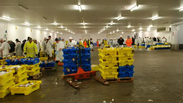 Grimsby Fish Market