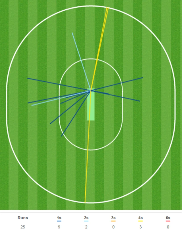 Haseeb Hameed wagon wheel