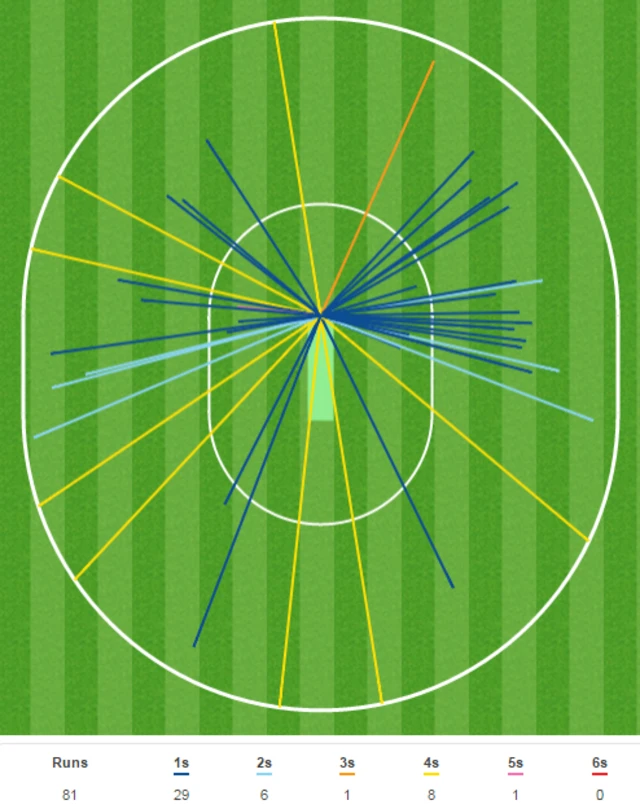 Virat Kohli wagon wheel