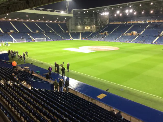 Hawthorns