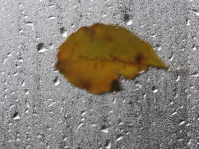 Rain picture