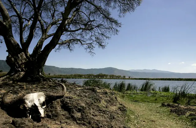 ngorongoro