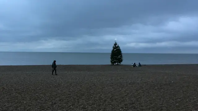 Christmas Tree on Aldeburgh beach