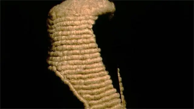 Judge's wig