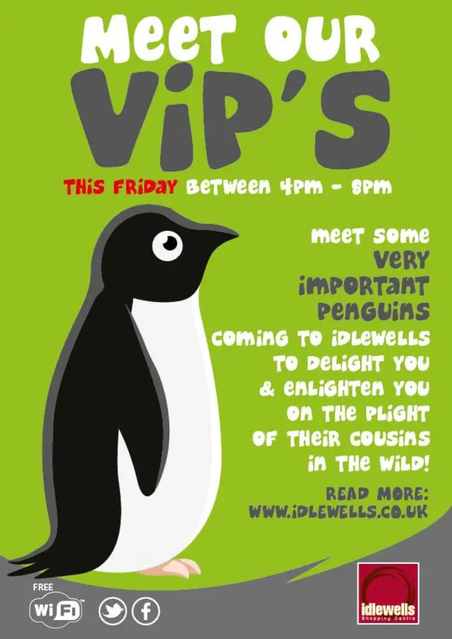 penguins