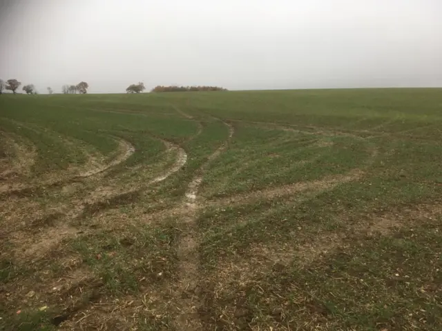 Damage to a field from hare coursing vehicle