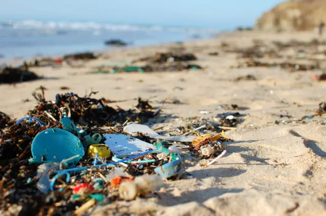 Litter on beach