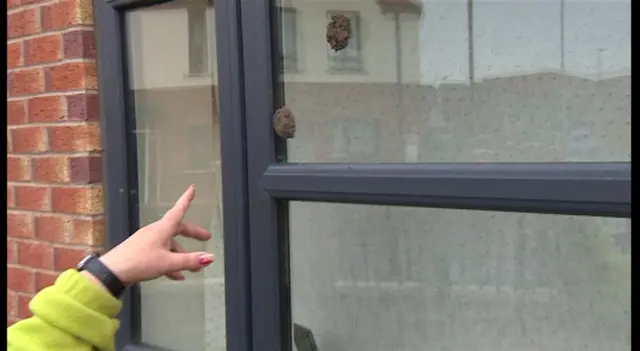 Mud on window of house