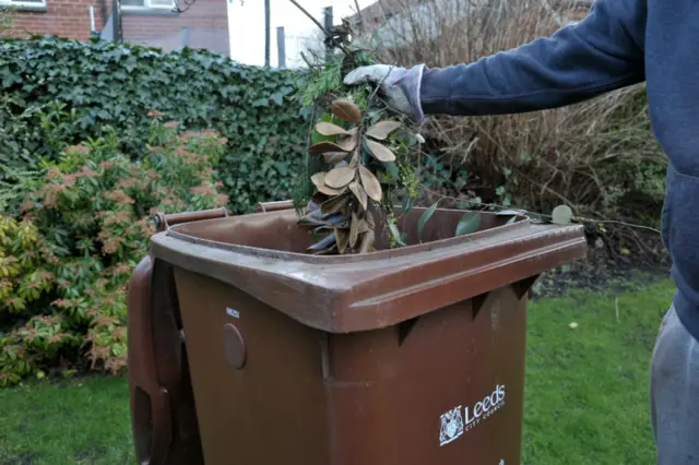 Brown bin