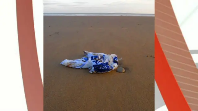 Bag on beach