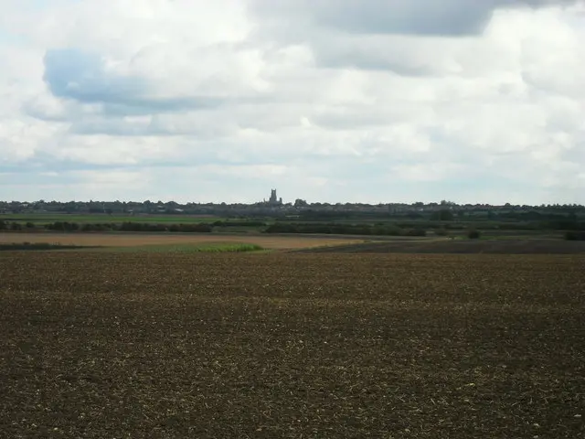 Arable fields at Coveney