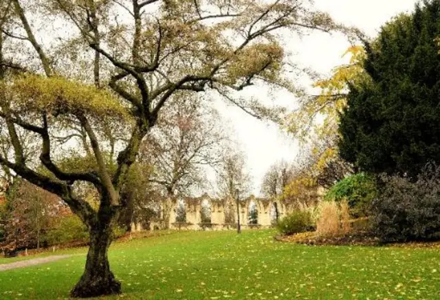 Museum Gardens