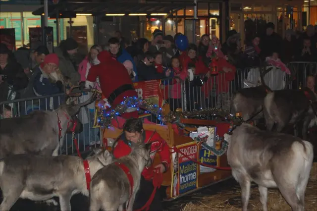 Reindeer in truro