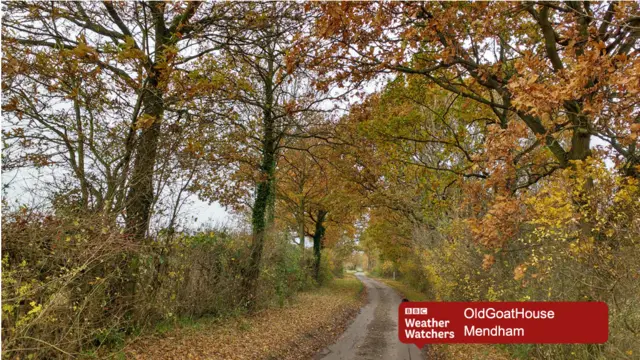 Country lane in Mendham