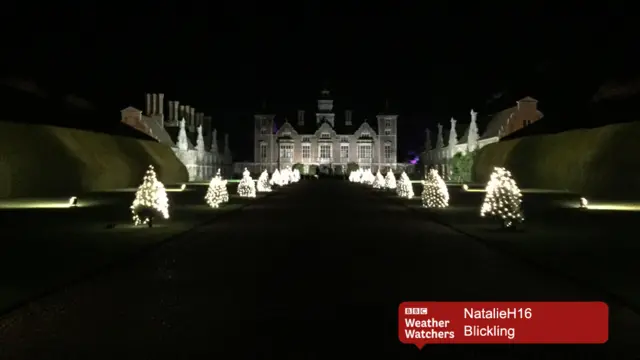 Christmas lights at Blickling Hall, showing trees lit by LED