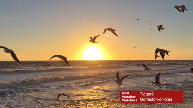 Sunrise over sea, with seagulls