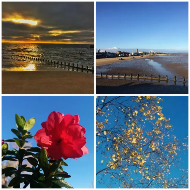 Sunrise on the beach and blue skies surrounding flowers and trees