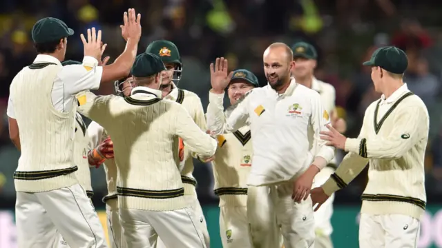 Nathan Lyon celebrates a wicket