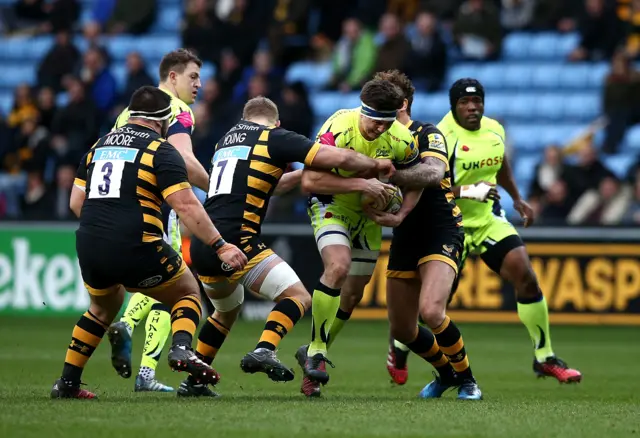 Wasps 0-0 Sale