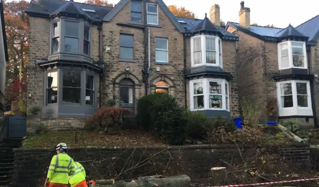 Felling trees on Rustlings Road