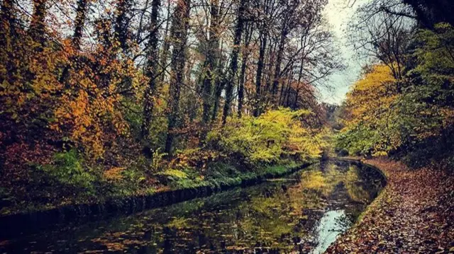 Autumn on the canal in Loynton, Staffordshire