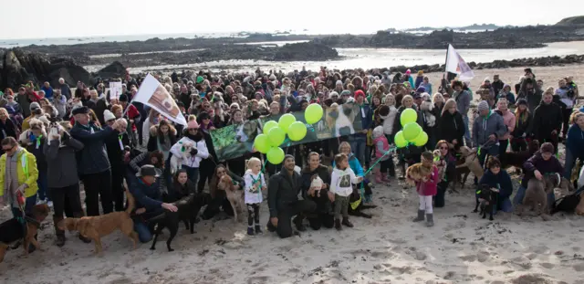 Dog walk for Mr Bronx